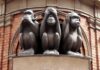 Three wise monkeys statue on brick wall background