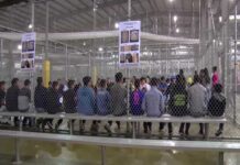 People sitting on benches inside a fenced facility