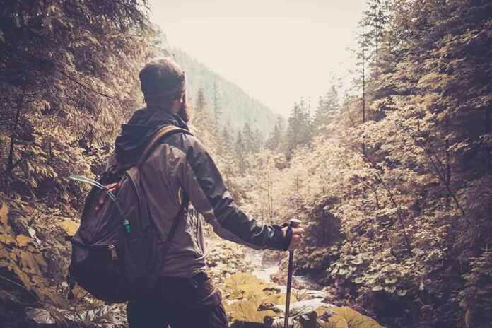 A hiker standing in a forest, looking at a scenic view of mountains and trees