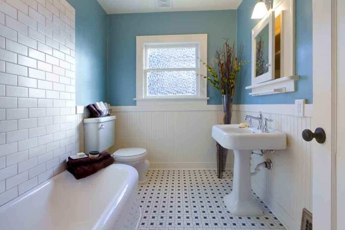 Modern bathroom featuring a bathtub sink and decorative plants against blue walls