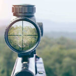 Blitz Targets Boris—Prime Minister in the Crosshairs Rifle scope aiming at a distant tree.