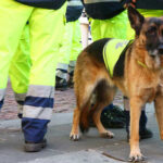 Flooding Horror — Miner Trapped Six Days! Service dog in vest among workers in high-vis gear.