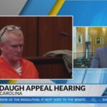 Legal Analyst: Here's the latest on Murdaugh's appeal hearing