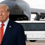 Obama Judge FREES Gang Rapist Judge orders return of alleged MS-13 gang member to the