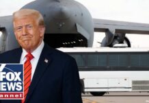 Obama Judge FREES Gang Rapist Judge orders return of alleged MS-13 gang member to the