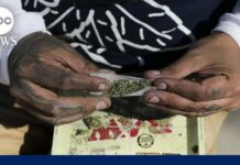 Cannabis legalization debate shifts as federal reclassification