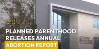 Planned Parenthood Releases Annual Abortion Report