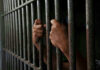 Attempted Murder! ‘How I Met Your Mother’ Star Convicted Hands gripping jail cell bars.