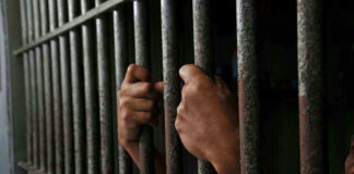 Hands gripping jail cell bars.