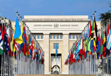 United Nations building with numerous national flags outside.