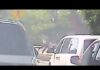 Dashcam video shows National Mall shooting involving