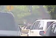 Dashcam video shows National Mall shooting involving