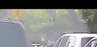 Dashcam video shows National Mall shooting involving