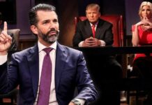 The Apprentice REBOOT: Could Donald Trump Jr. Could