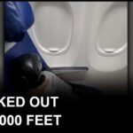 Humanoid robot’s Southwest flight sparks instant airline policy change