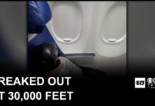Humanoid robot’s Southwest flight sparks instant airline policy change
