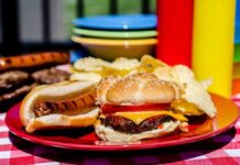Junk Food REWIRES Kids’ Brains! A plate with a hamburger, hot dog, and potato chips on a picnic table