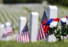 Arlington’s Silent Army: 250,000 Flags Placed Overnight American flags and flowers placed at graves in a cemetery
