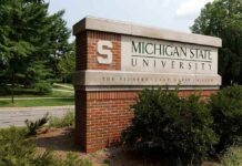 Musk’s Anti-College Stance Rocks Higher Ed Sign for Michigan State University surrounded by greenery