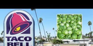 Cyclosporiasis outbreak linked to shredded lettuce served at some Taco Bell locations: Source