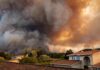 Wildfire smoke billows over suburban houses