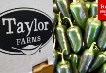 Jalapeño Chain Reaction Slams Taylor Farms Taylor Farms Recalls Prepared Foods With Jalapenos Over Salmonella Concerns