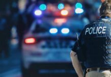 police officer in vest near patrol car with flashing lights