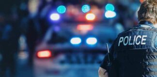 police officer in vest near patrol car with flashing lights