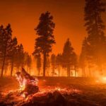 Paroled Killer Tied To Mega Wildfire? Wildfire burning through a pine forest at night