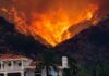Wildfire engulfs hillside behind a suburban house