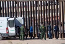 Trump: “Spain Could Be Ruined” by Mass Immigration Border agents escort a group near a tall fence and a patrol van