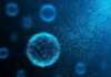AI Maps Whale Speech Rules Glowing blue microscopic cell