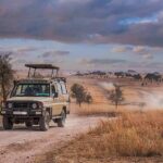 Safari vehicle on a dusty track in a dry savanna landscape