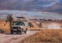 Brutal Trail Killing: Deal Sparks Fury Safari vehicle on a dusty track in a dry savanna landscape