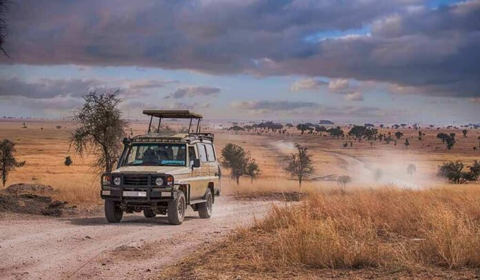 shutterstock_1054716632 Safari vehicle on a dusty track in a dry savanna landscape
