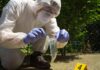 Mystery Strain? Another Rabid Raccoon Found Forensic technician collects bullet casing at outdoor crime scene