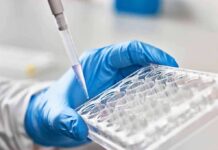 Mind Control Wins Medicine’s Top Prize Gloved hand holding a multiwell plate as a pipette dispenses liquid